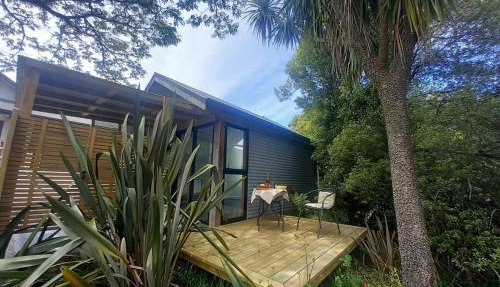 Mapua Cabbage Trees