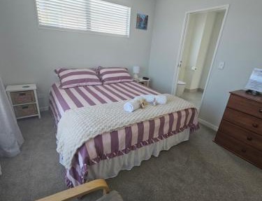 Large bedroom with en-suite in a new house Devonport