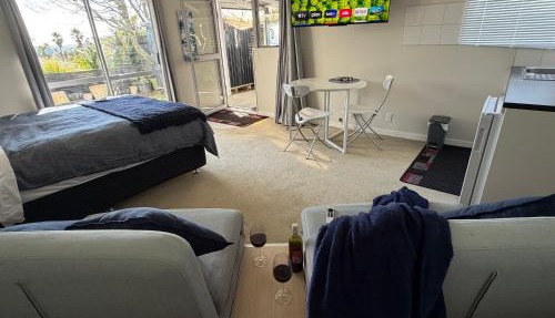 Private Sunny Studio with Garden and Covered Patio