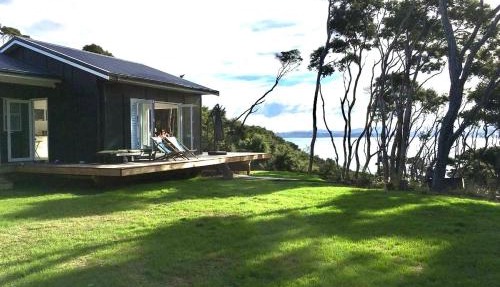 Kawau Kererū Bach