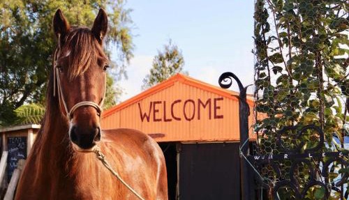 Hack'n'Stay Adventure Farm - Paton's Rock