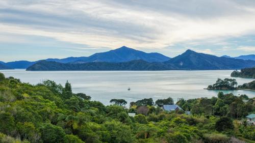 Treetops & Tide Cottage - Moetapu Holiday Home