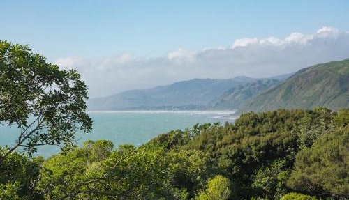 Clifftop 1 Bedroom Tiny House Sea Views & Kāpiti Island