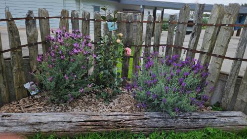 Bever Cottage - 1 bedroom