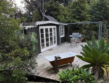 Fantail Stories A Quiet Refuge