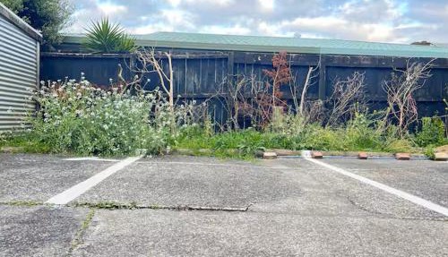 Campvan site in Albany