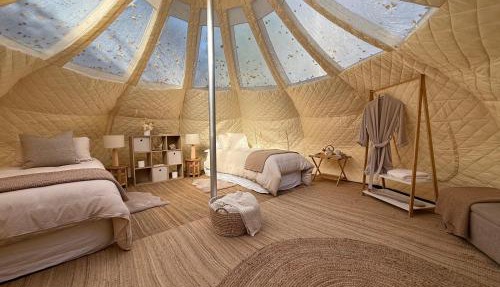 Forest Hillside Glamping Retreat