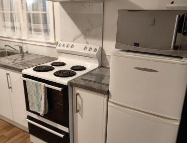 Larsen Apartment