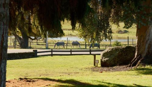 Nordic Villages at Sundale Holiday Park