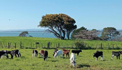 Country Farm Caravan Stay