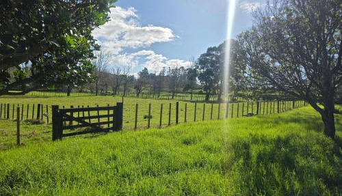 Amore Manor Auckland