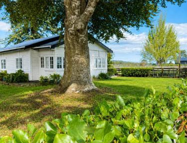 Farm Stay | Near Airport & Mystery Creek