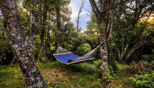 Golden Ridge Retreat