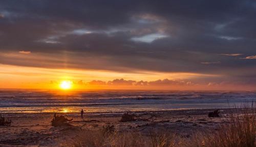 The Nest at Arahura Escape by Tiny Away