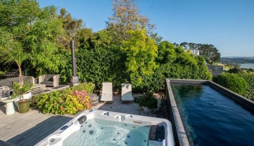 Palm Springs by Waiheke Pure