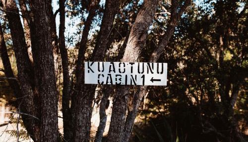 Kūaotunu Cabin 1 by Tiny Away