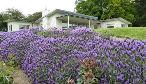 L'abri Bed and Breakfast