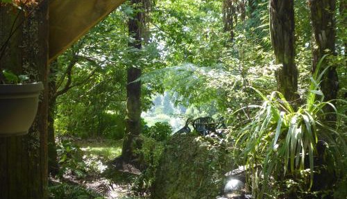 Mount Tutu Eco-Sanctuary